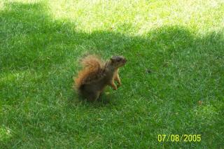 100_3814.jpg