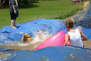 IMG_2955.JPG