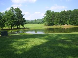 S4010399.JPG