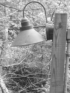 S4011246.JPG