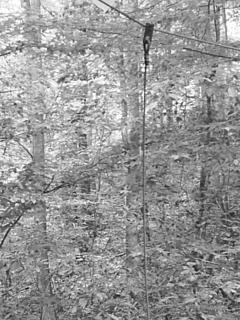 S4011247.JPG