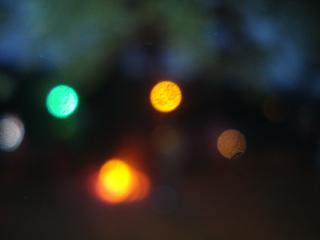 DSC02636.JPG