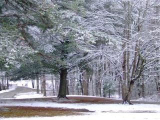 DSCF1471.JPG