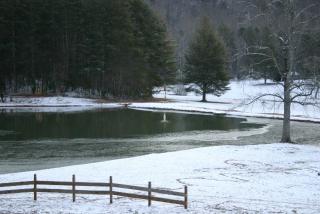 IMG_3599.JPG