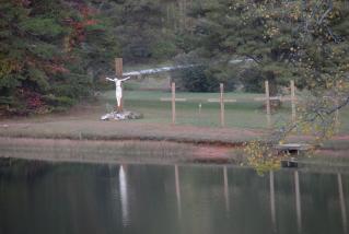 DSC_041066.JPG
