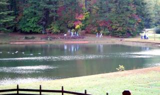 IMG_4635.JPG