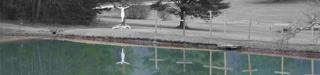 covecrest-reflect-color.jpg