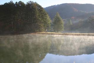 IMG_6383.jpg