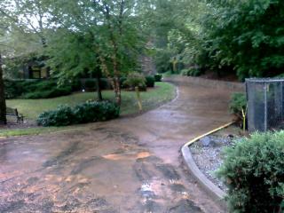 PIC-0185_001.jpg