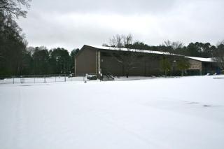 SJN-Snow-2011-9.jpg