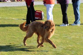 IMG_7936.JPG