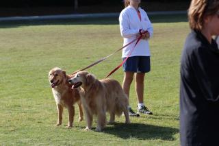 IMG_8576.JPG