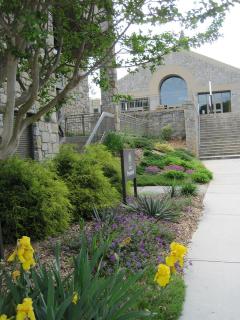 Garden 7.jpg