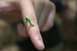 DSC_7142.jpg