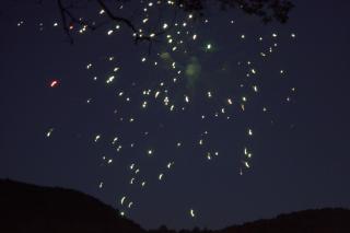 DSC_7150.jpg
