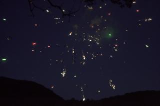 DSC_7152.jpg
