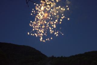 DSC_7157.jpg