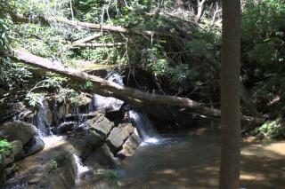 DSC_7266.jpg