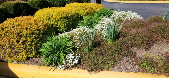 SJN Garden Ministry  (10).jpg