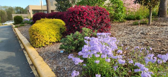 SJN Garden Ministry  (6).jpg