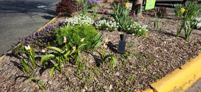 SJN Garden Ministry  (8).jpg