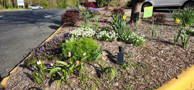 SJN Garden Ministry  (9).jpg